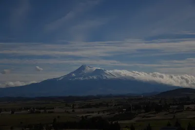 DSC_6769 (Large).JPG